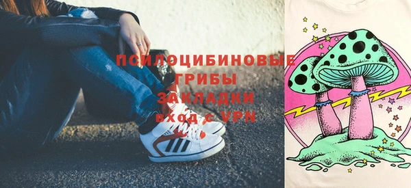 экстази Краснослободск