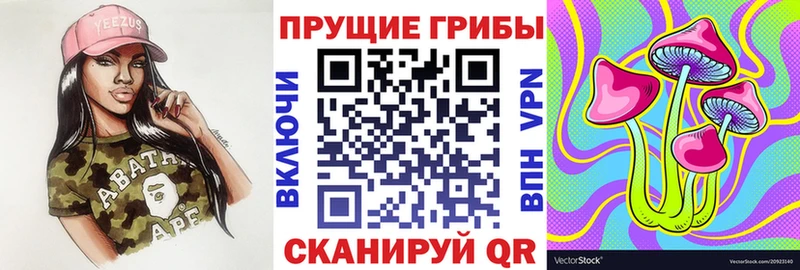 Галлюциногенные грибы Magic Shrooms  Купить  Сибай 